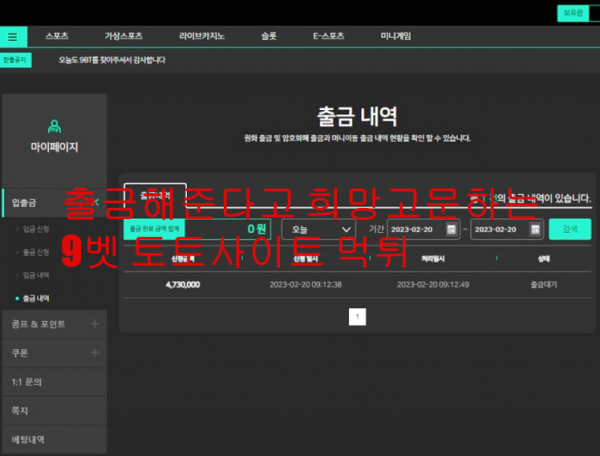 출금해준다고 희망고문하는 9벳 토토사이트 먹튀