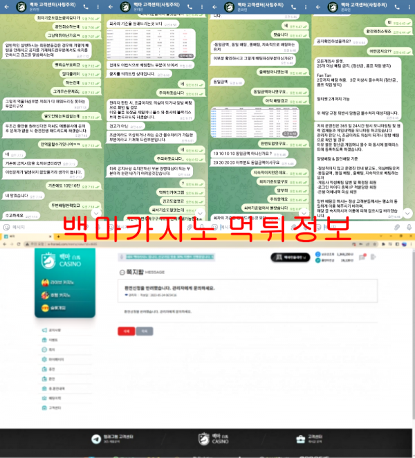 백마카지노 먹튀정보