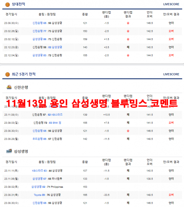 11월13일 용인 삼성생명 블루밍스 코멘트