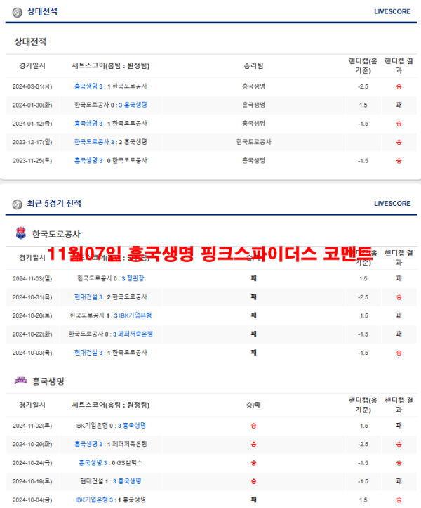 11월07일 흥국생명 핑크스파이더스 코멘트